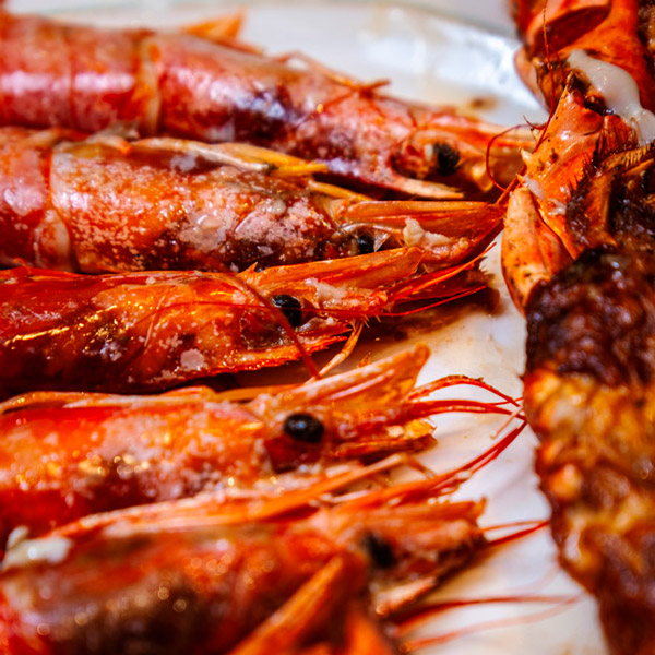 xs_Rogelios_Cartas-y-Menus_004